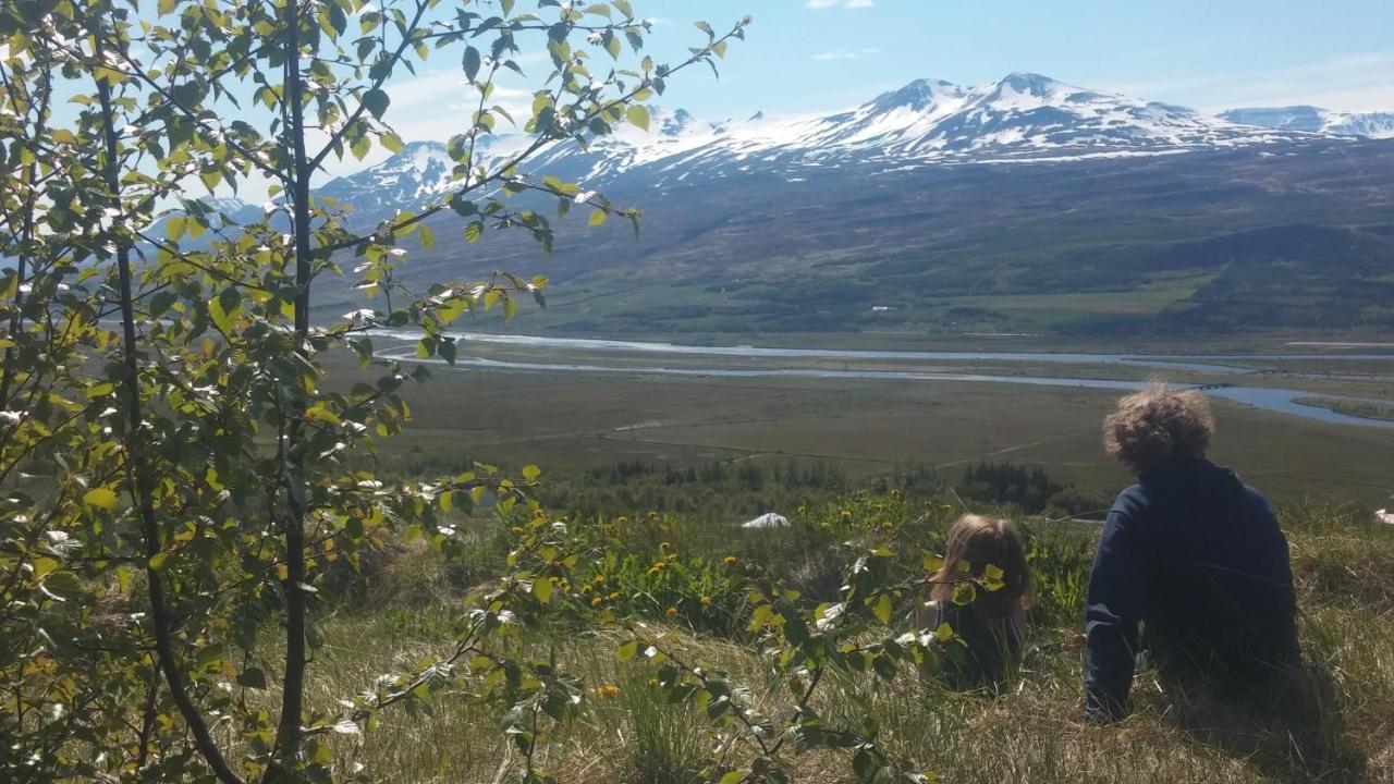 Iceland Yurt Akureyri Esterno foto