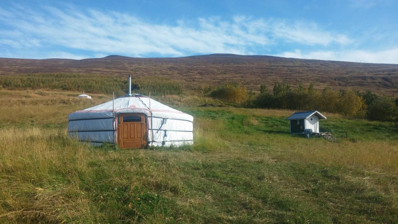 Iceland Yurt Akureyri Esterno foto
