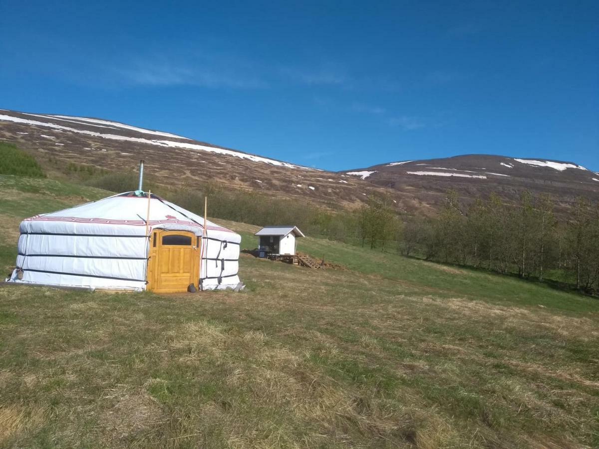 Iceland Yurt Akureyri Esterno foto
