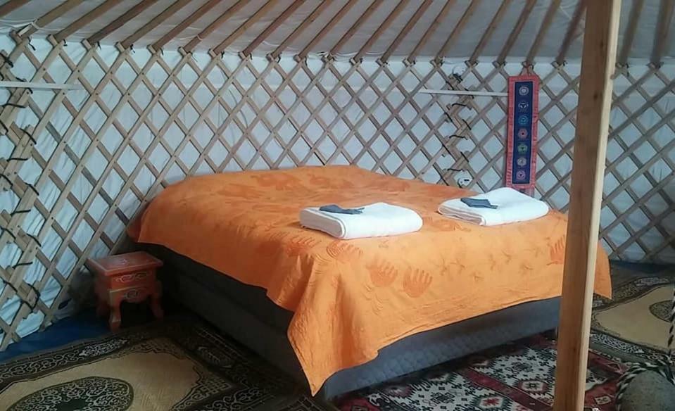 Iceland Yurt Akureyri Esterno foto