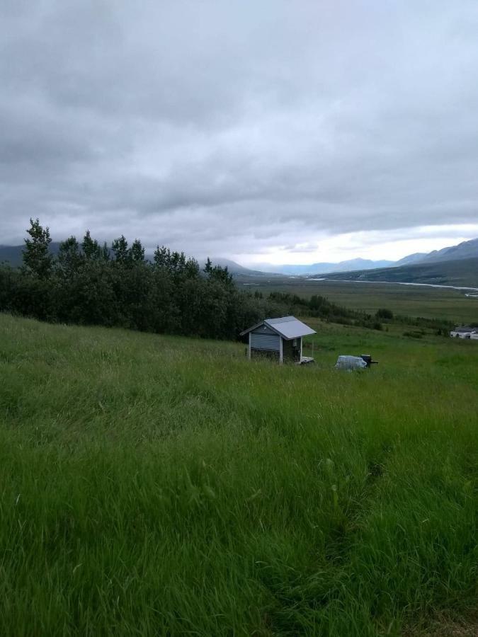 Iceland Yurt Akureyri Esterno foto