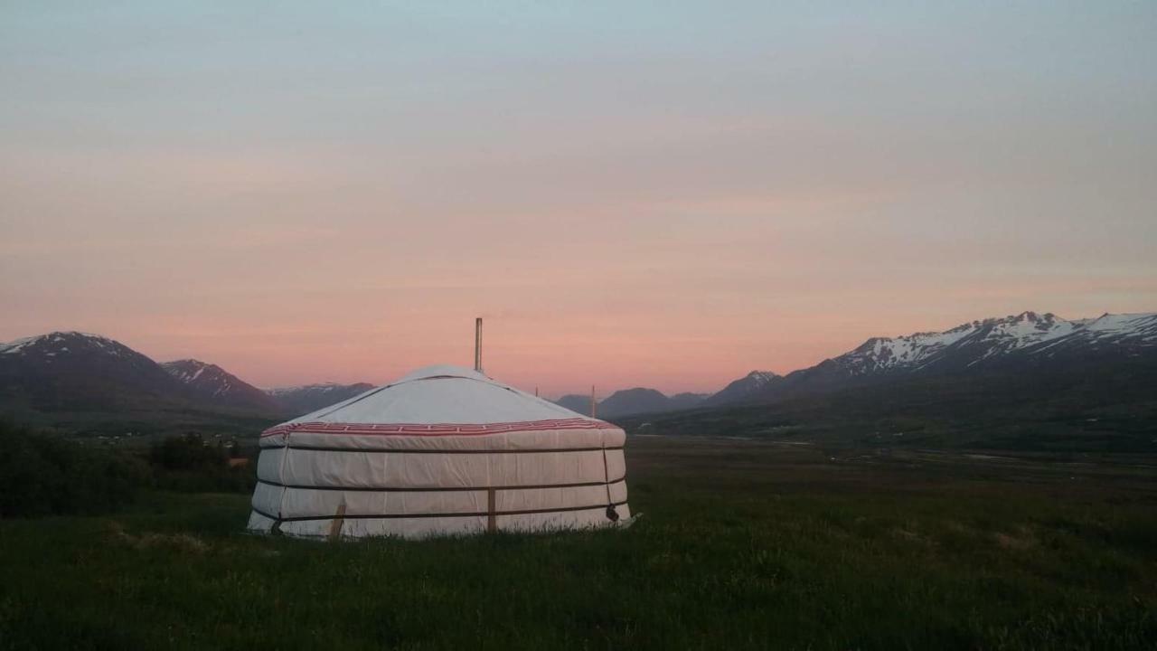 Iceland Yurt Akureyri Esterno foto